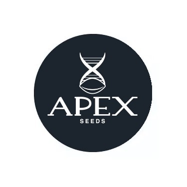 Apex Seeds Feminized